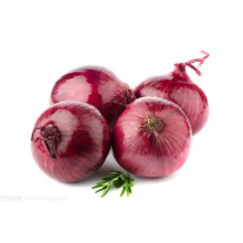 Fresh Wholesale Clean Smaller Size India Variety Red Onion